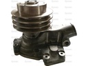 BOMBA AGUA CON POLEA SPAREX S.103326