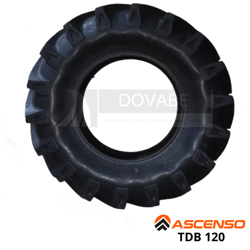 ASCENSO 11.2/10-24 (11.2-24) 8L TDB120 116 A8