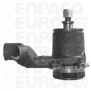 [ENP101750017] BOMBA AGUA MASSEY FERGUSON / LANDINI REF. 101750017
