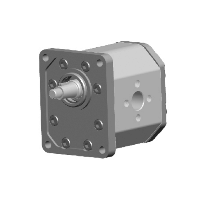 BOMBA DE ENGRANAJES GR.3 50 cm3 DX 250 BAR