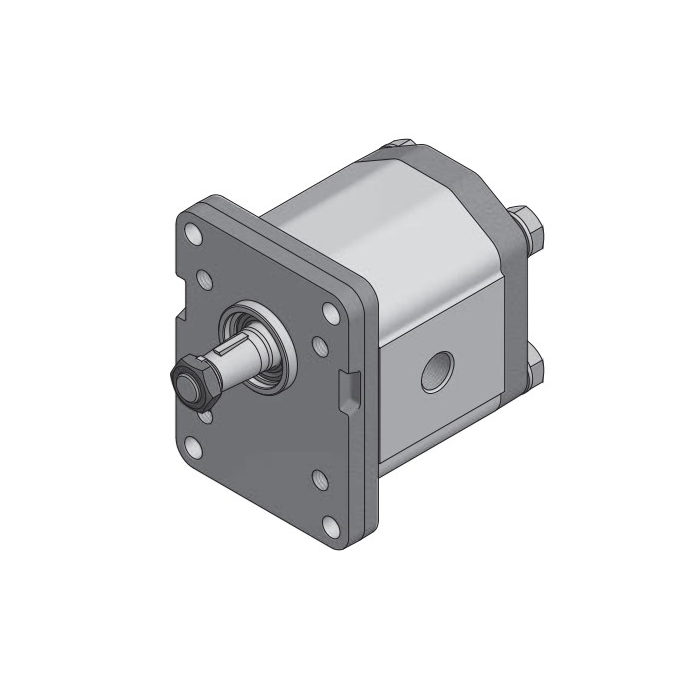 [ROQ1L16DC23R] Bomba de Engranajes Giro DCH. 10,6 cm3 Eje Cilíndrico Roquet