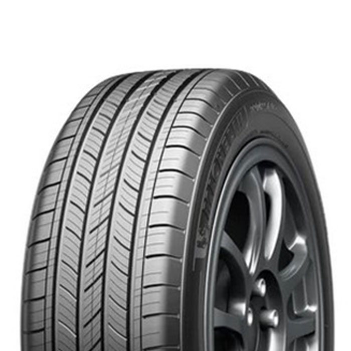 Michelín 275/50R21 113YXL PCY AS LR M+S